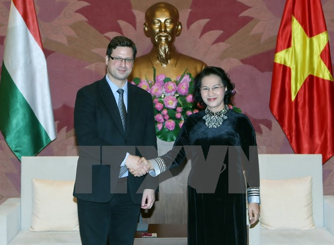 越南国会主席阮氏金银会见匈牙利议会副议长古亚士•盖尔盖伊 ảnh 1 越南国会主席阮氏金银会见匈牙利议会副议长古亚士•盖尔盖伊 ảnh 1