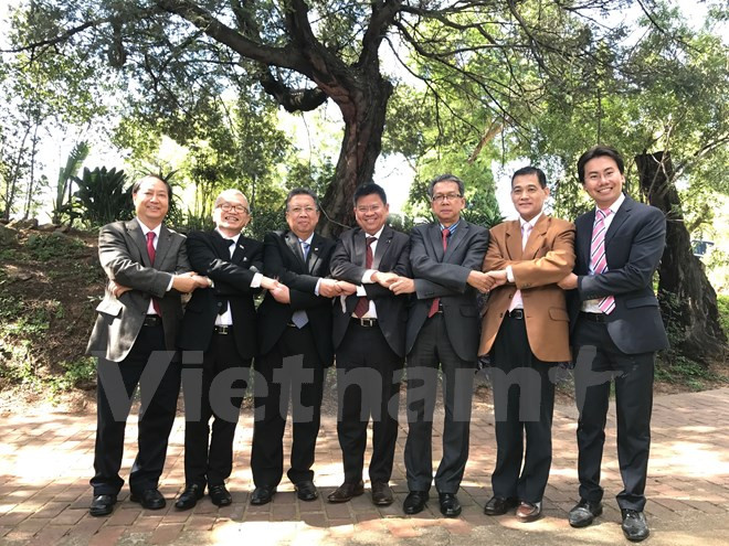 东盟驻南非委员会召开2017年第一次例行会议 ảnh 1