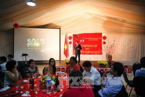 越南驻中国大使馆举行2017丁酉年春节见面会 ảnh 2