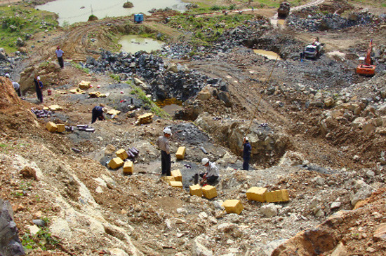 2016年越南自然资源与环境领域十大新闻事件盘点 ảnh 8