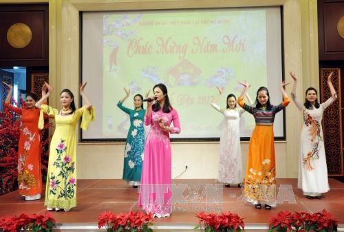 越南驻中国大使馆举行2017丁酉年春节见面会 ảnh 1