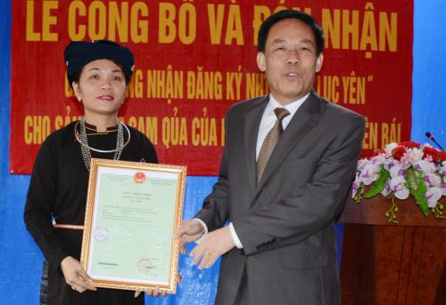 越南安沛省举行“禄安橙”集体商标首发式 ảnh 1