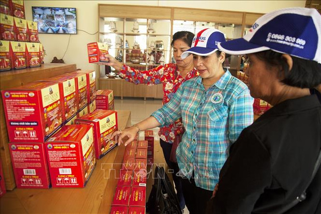 柬埔寨妇女和平发展协会代表团造访富国岛 ảnh 2