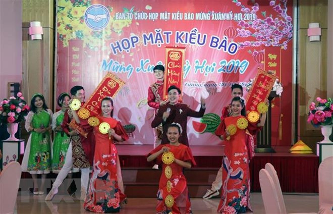 越南政府颁发海外越南人事务国家委员会任务细则 ảnh 1 越南政府颁发海外越南人事务国家委员会任务细则 ảnh 1