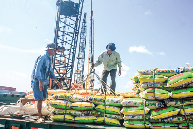 芹苴市着力推动物流服务产业发展 ảnh 1