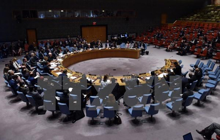 越南希望继续在联合国发挥更大作用并拥有更大发言权 ảnh 1