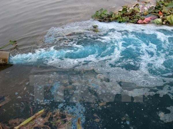 胡志明市希望学习借鉴日本解决城市环境污染经验 ảnh 1