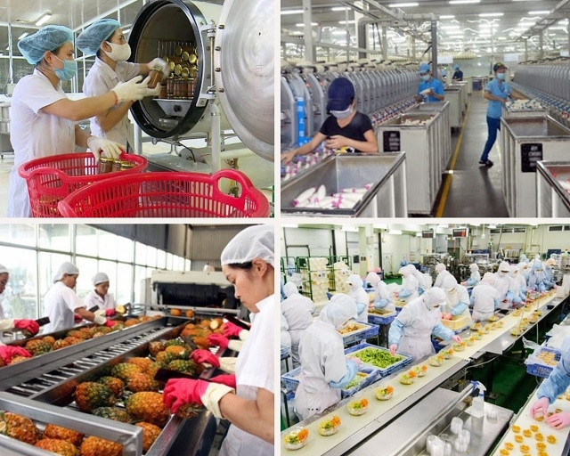 越南食品加工业发展潜力巨大 投资吸引力强 ảnh 2 越南食品加工业发展潜力巨大 投资吸引力强 ảnh 2