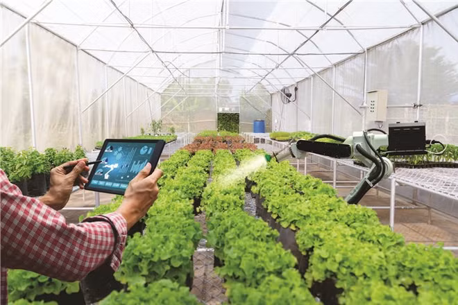 北江省将新农村建设与数字化转型相结合 ảnh 1