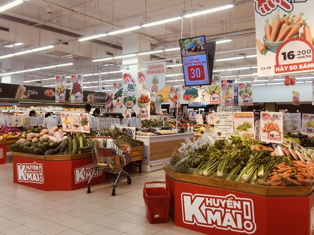 越南中央经济管理研究院对2023年越南经济增长提出了三个情景预测 ảnh 2 越南中央经济管理研究院对2023年越南经济增长提出了三个情景预测 ảnh 2