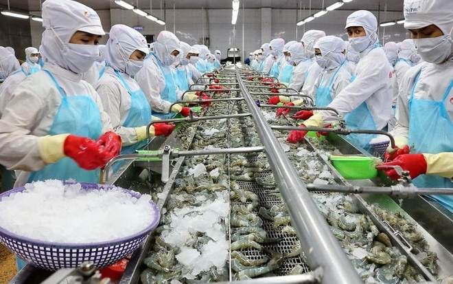 越南食品加工业发展潜力巨大 投资吸引力强 ảnh 1 越南食品加工业发展潜力巨大 投资吸引力强 ảnh 1