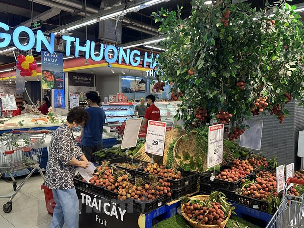 越南水果出口:多元化出口市场 增加水果出口价值 ảnh 2 越南水果出口:多元化出口市场 增加水果出口价值 ảnh 2