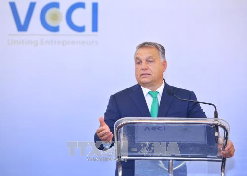 越匈企业论坛在河内举行 ảnh 1