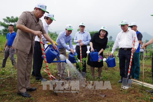 越南举行集会响应“2017年让世界更加清洁”活动 ảnh 2