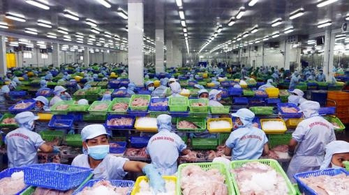 芹苴市商品出口呈现猛增之势 ảnh 1  芹苴市商品出口呈现猛增之势 ảnh 1