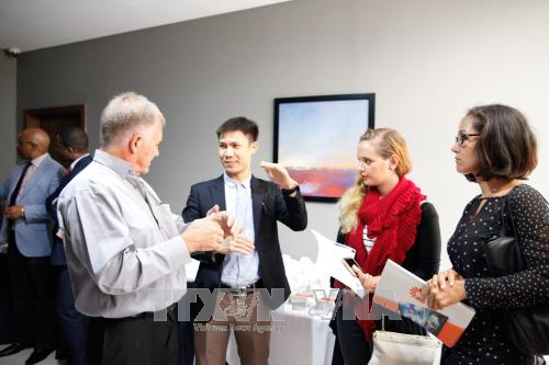 越南、莫桑比克和斯威士兰三国企业加强对接 ảnh 1