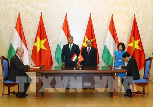 越匈寻找农业合作商机 ảnh 1 越匈寻找农业合作商机 ảnh 1