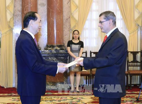 五国新任驻越大使向国家主席陈大光递交国书 ảnh 4
