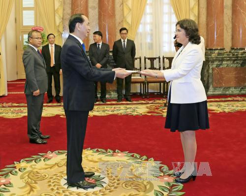 五国新任驻越大使向国家主席陈大光递交国书 ảnh 5