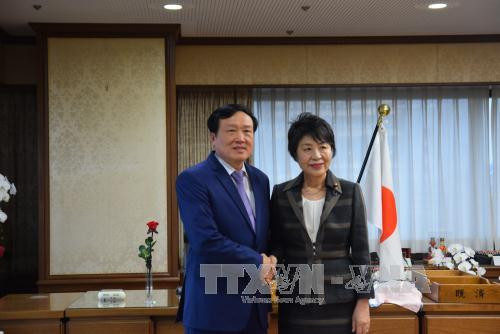 日本法务省继续协助越南完善法律体系 ảnh 1