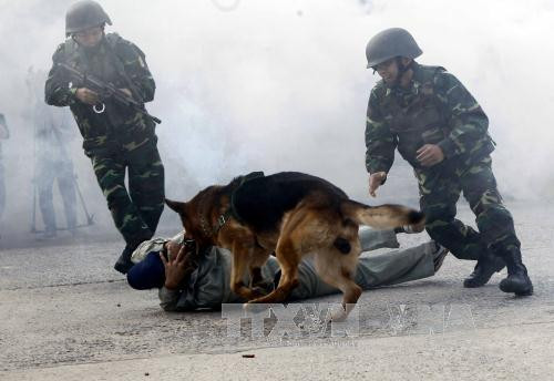 第4次越中边境国防友好交流活动：加强越中边境地区居民与军队的团结协作 ảnh 3