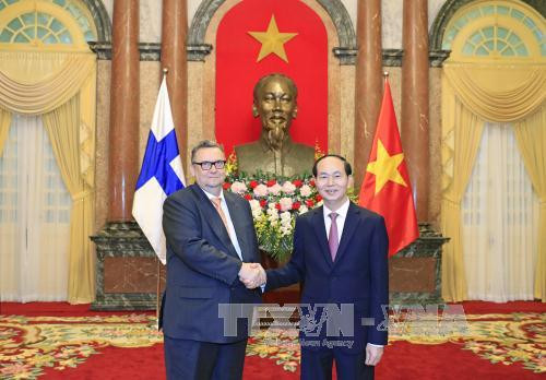 五国新任驻越大使向国家主席陈大光递交国书 ảnh 3