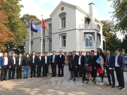 胡志明市与荷兰各地方加强合作 ảnh 1