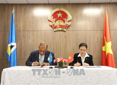 越南与圣卢西亚建立外交关系 ảnh 1  越南与圣卢西亚建立外交关系 ảnh 1