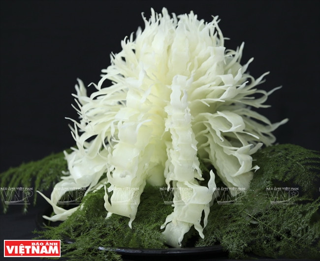 木瓜雕花艺术(组图) ảnh 10 木瓜雕花艺术(组图) ảnh 10