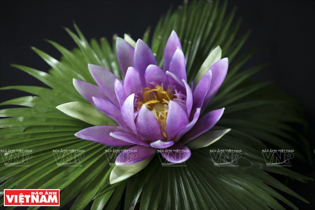 木瓜雕花艺术(组图) ảnh 8 木瓜雕花艺术(组图) ảnh 8