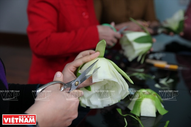 木瓜雕花艺术(组图) ảnh 5 木瓜雕花艺术(组图) ảnh 5