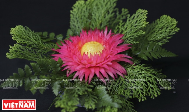 木瓜雕花艺术(组图) ảnh 13 木瓜雕花艺术(组图) ảnh 13