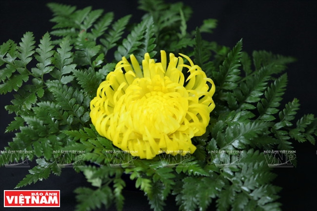 木瓜雕花艺术(组图) ảnh 11 木瓜雕花艺术(组图) ảnh 11