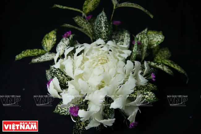 木瓜雕花艺术(组图) ảnh 15 木瓜雕花艺术(组图) ảnh 15