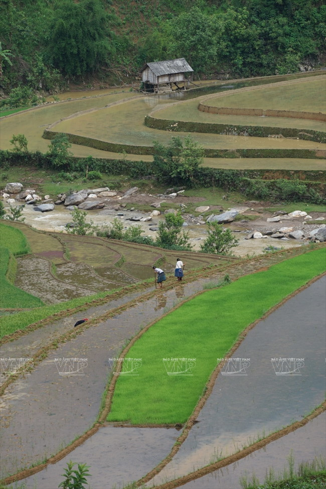 木岗寨梯田美景 ảnh 5 木岗寨梯田美景 ảnh 5