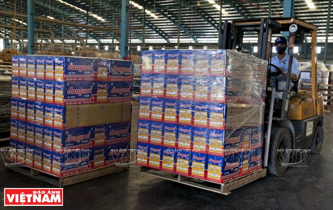 越南一流电池和电瓶厂家PINACO ảnh 10 越南一流电池和电瓶厂家PINACO ảnh 10