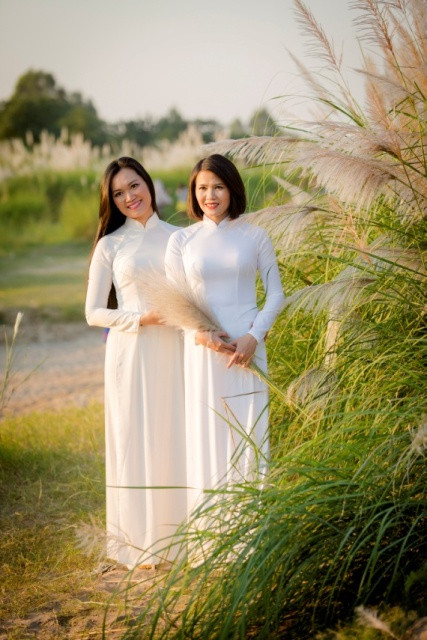 雪白芦苇——不一样的河内风光（组图） ảnh 4