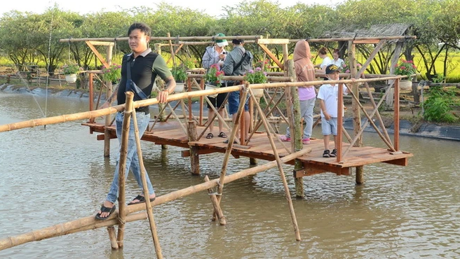 前江省：形成3个自然生态系统旅游区 ảnh 1