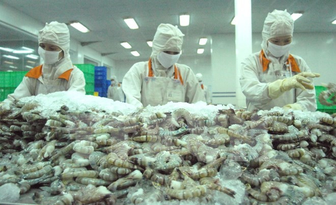 虾类是越南对澳大利亚出口的主要商品 ảnh 1 虾类是越南对澳大利亚出口的主要商品 ảnh 1