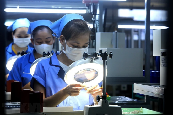 越南驻阿根廷商务参赞：充分挖掘越南与阿根廷贸易潜力 ảnh 1