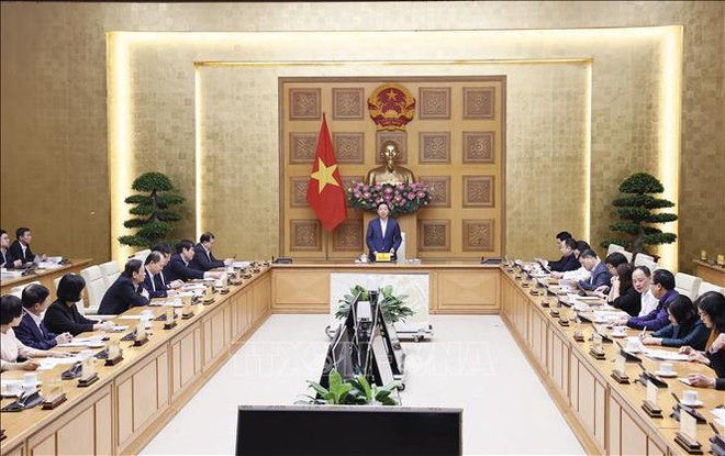 为越南文化保护与弘扬工作制定突破性机制和政策 ảnh 1