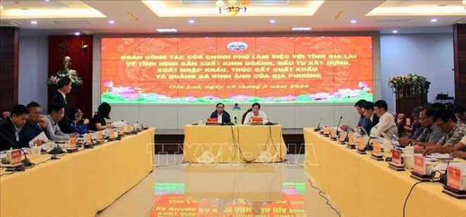 政府工作代表团莅临嘉莱省调研投资建设和出口情况 ảnh 1