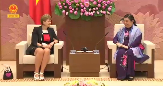 越南国会副主席丛氏放会见丹麦议会代表团 ảnh 1 越南国会副主席丛氏放会见丹麦议会代表团 ảnh 1