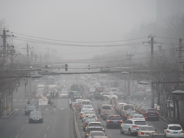 世卫组织：东南亚是世界上空气污染最为严重的地区之一 ảnh 1