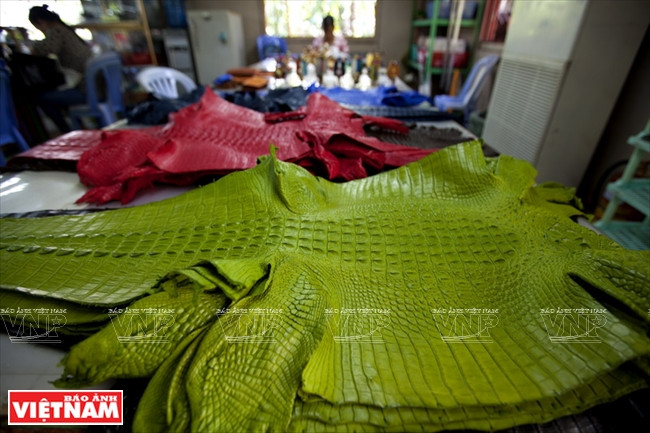 越南鞋业随时迎接新一代自由贸易协定 ảnh 7 越南鞋业随时迎接新一代自由贸易协定 ảnh 7