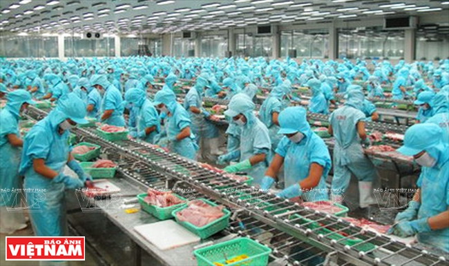 世界对越南革新时期的经济成就印象深刻 ảnh 2