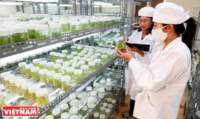 世界对越南革新时期的经济成就印象深刻 ảnh 6