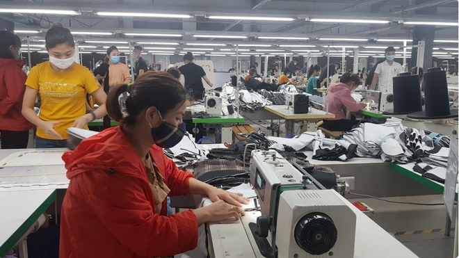 汇丰银行:2024甲辰龙年有望为越南开启更多机遇 ảnh 1 汇丰银行:2024甲辰龙年有望为越南开启更多机遇 ảnh 1