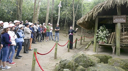 宣光省着力推动旅游业发展 ảnh 1