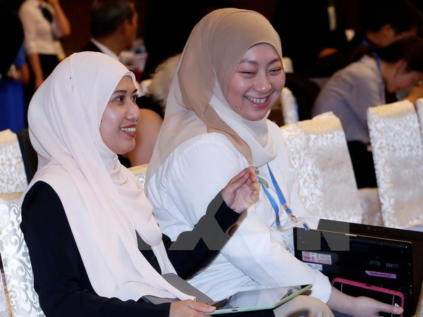 2017年APEC会议:首都河内给国际代表留下美好印象 ảnh 1 2017年APEC会议:首都河内给国际代表留下美好印象 ảnh 1